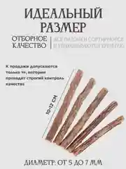 Жевательные палочки МАТАТАБИ с эффектом кошачьей мяты, игрушка для кошек для чистки зубов