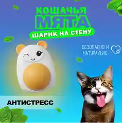 Кошачья мята, мятный шарик для кошек