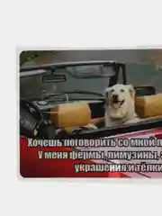 Вишнёвый наклейки на банковскую и другие пластиковые карты с персонажами из мемов, приколы, стикер