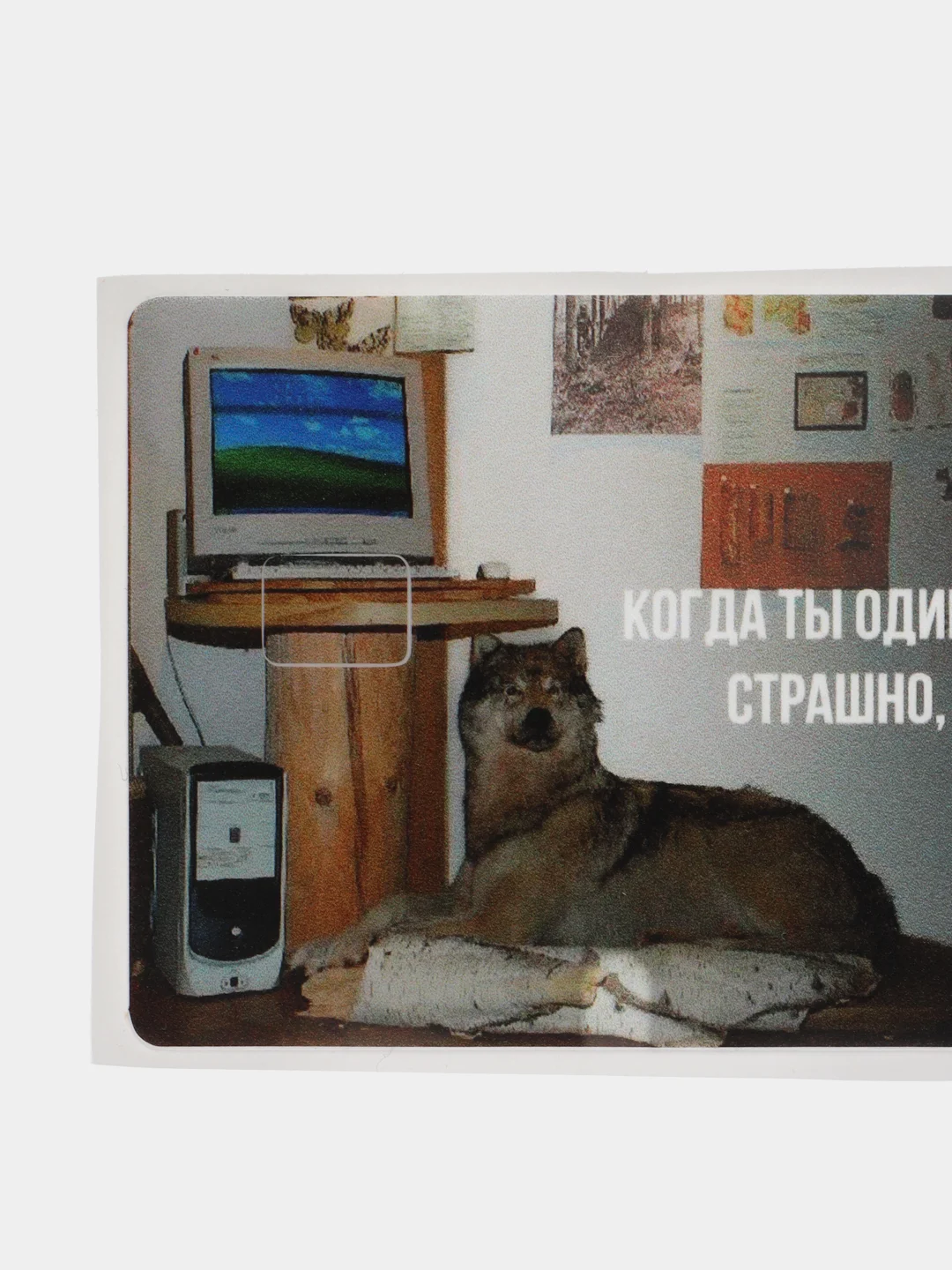 Рыжий наклейки на банковскую и другие пластиковые карты с персонажами из мемов