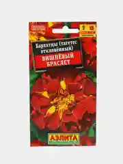 Бархатцы Вишнёвый браслет, семена цветы