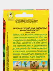 Бархатцы Вишнёвый браслет, семена цветы