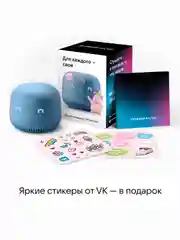 Серый умная колонка VK Капсула Нео с часами и Марусей (5Вт)