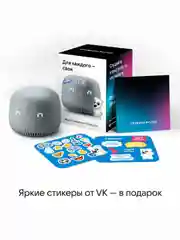 Серый умная колонка VK Капсула Нео с часами и Марусей (5Вт)