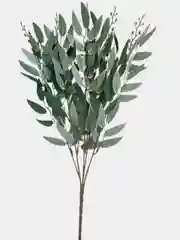 Белый рускус, ива, искусственная зелень, листья, трава, ветки, эвкалипт, цветы, букет