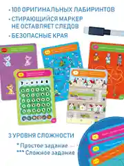 IQ Box "Лабиринты", 3-5 лет, Дрофа - Медиа