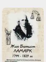 Комплект стендов Биологи, цвет бежевый, набор 6 шт