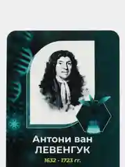 Комплект стендов Биологи, цвет зеленый, набор 6 шт