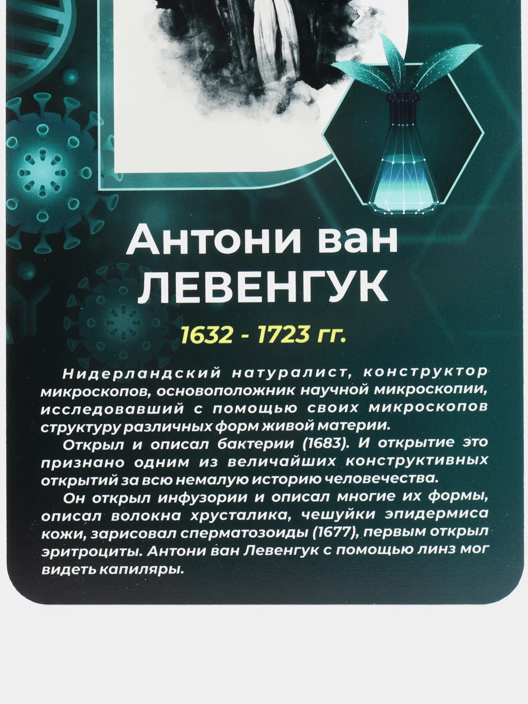 Комплект стендов Биологи, цвет зеленый, набор 6 шт