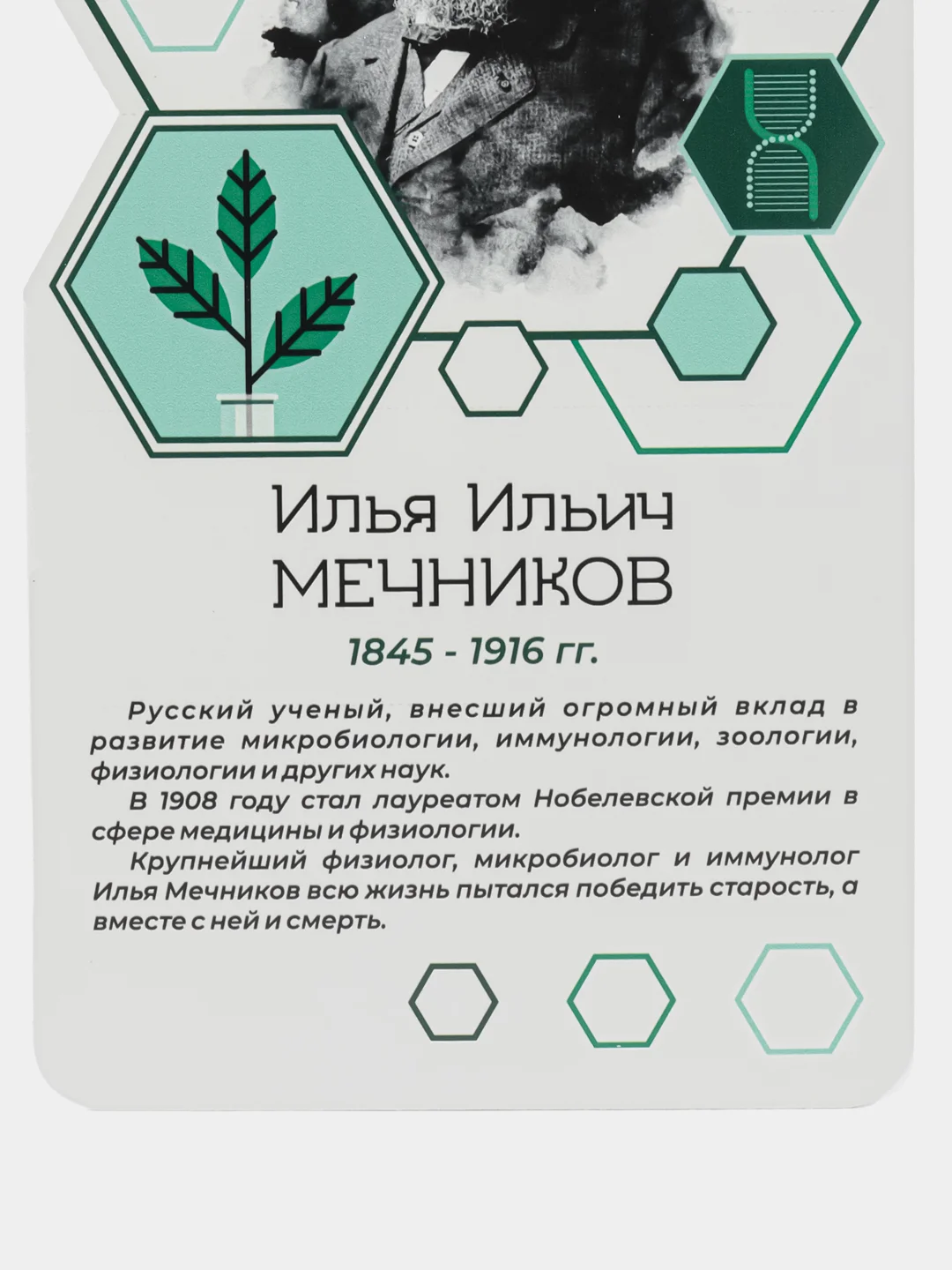 Комплект стендов Биологи, цвет белый, набор 6 шт