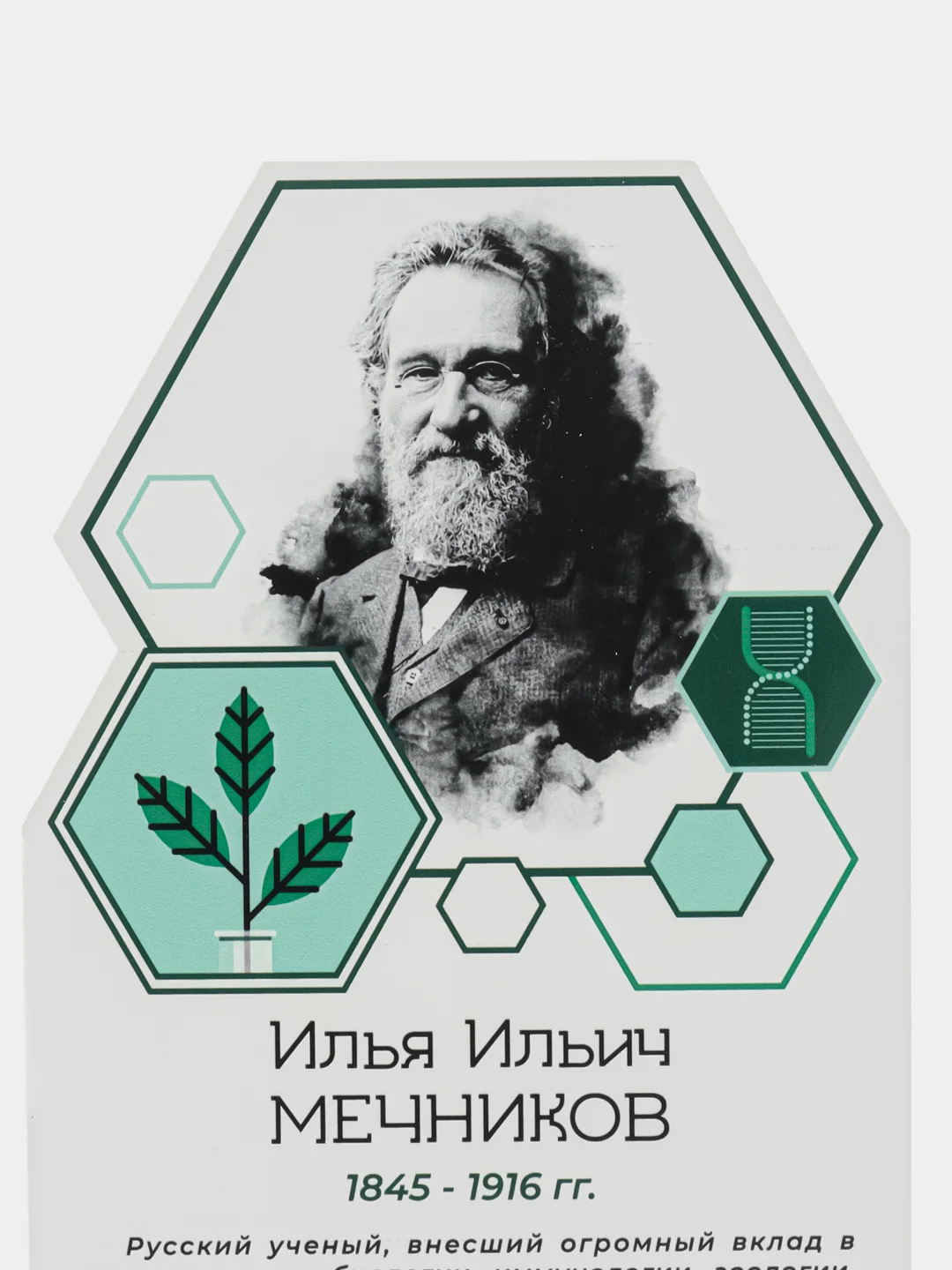 Комплект стендов Биологи, цвет белый, набор 6 шт
