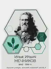 Комплект стендов Биологи, цвет белый, набор 6 шт