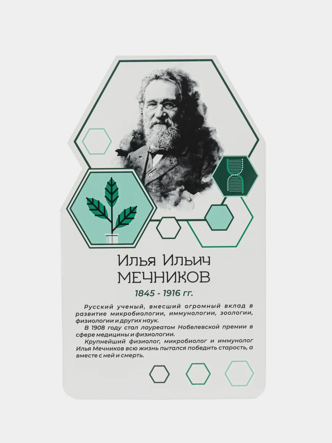 Комплект стендов Биологи, цвет белый, набор 6 шт