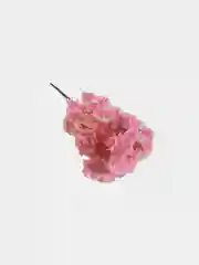 Кораллово-розовый искуственные цветы "Сакура", розовая, белая, желтая