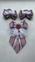 Банты школьные набор!!! Галстук и банты на резинках!