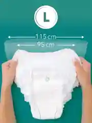 Трусы E-RASY менструальные одноразовые L, 5 штук