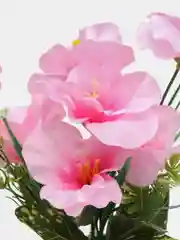 Желтый искуственные цветы Фрезии