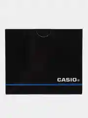 Наручные часы Casio LTP-1241D-2A