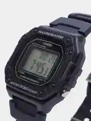 Наручные часы Casio W-218H-2A