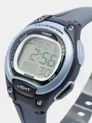 Наручные часы Casio LW-203-2A