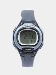 Наручные часы Casio LW-203-2A