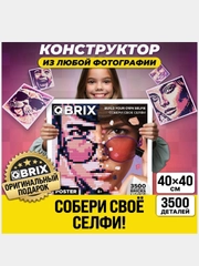 Конструктор из фотографии QBRIX POSTER 40*40 см