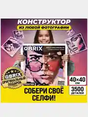 Конструктор из фотографии QBRIX POSTER 40*40 см