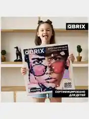 Конструктор из фотографии QBRIX POSTER 40*40 см