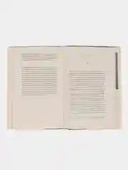 Разговоры с друзьями. Салли Руни