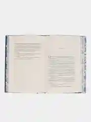 Голландский дом. Пэтчетт Энн