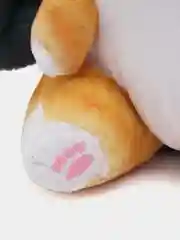Мягкая игрушка Кот Акула