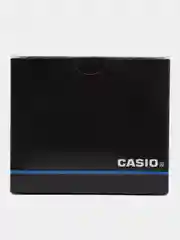 Наручные часы Casio LTP-V007D-1B