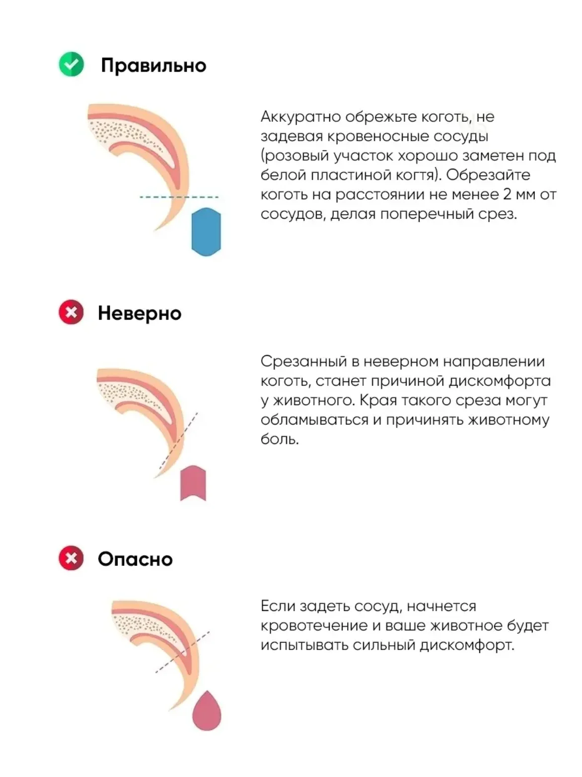 Бежевый когтерезка для кошек, собак, грызунов, кроликов с фонариком