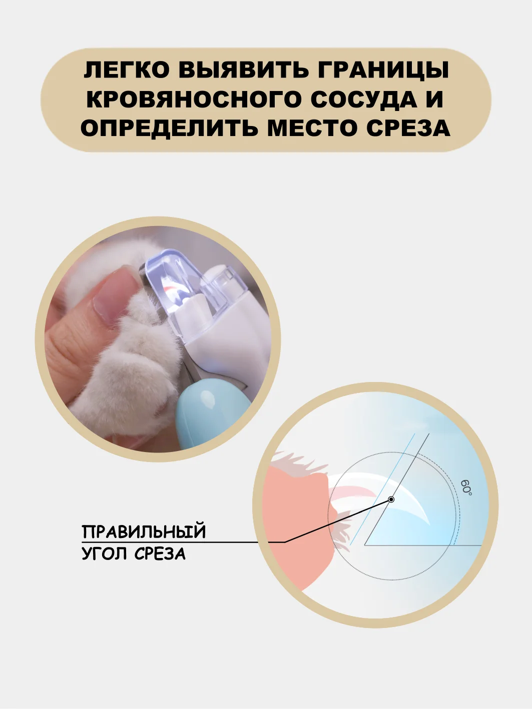 Бежевый когтерезка для кошек, собак, грызунов, кроликов с фонариком