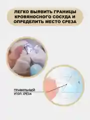 Бежевый когтерезка для кошек, собак, грызунов, кроликов с фонариком