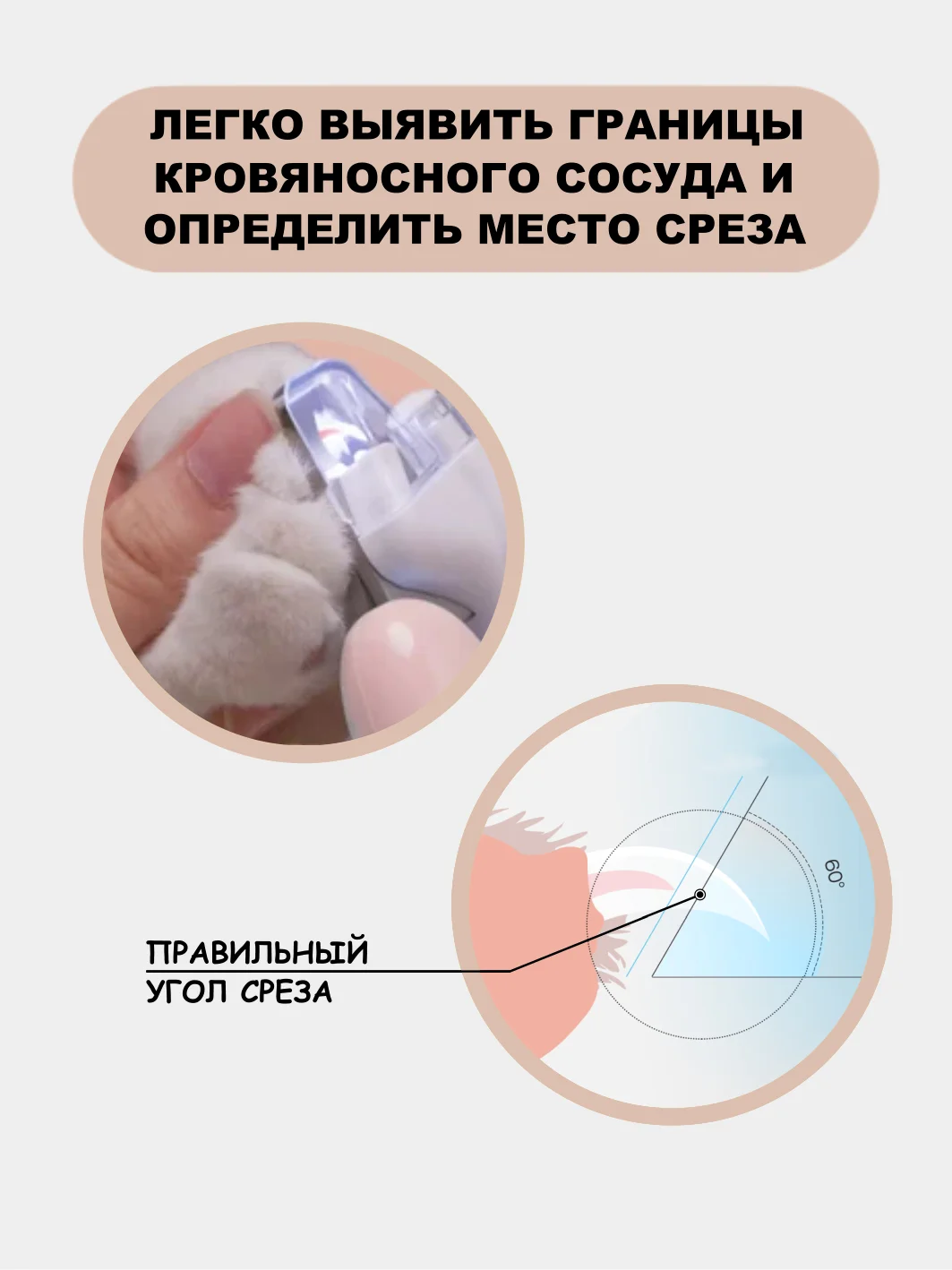 Оранжевый когтерезка для кошек, собак, грызунов, кроликов с фонариком