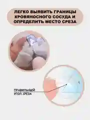 Оранжевый когтерезка для кошек, собак, грызунов, кроликов с фонариком