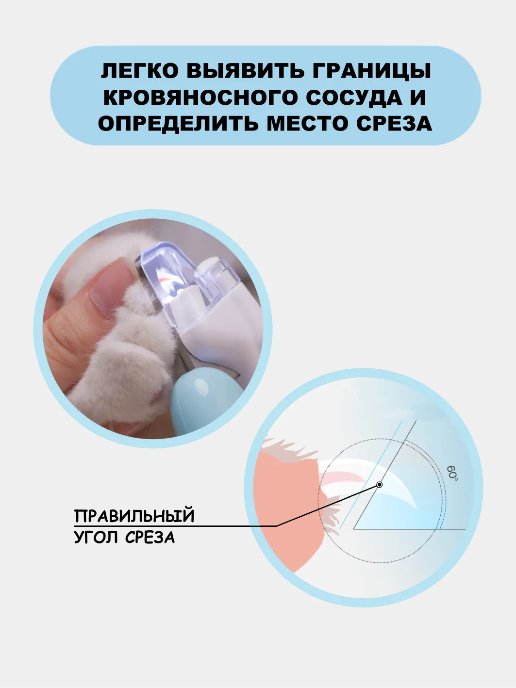 Голубой когтерезка для кошек, собак, грызунов, кроликов с фонариком