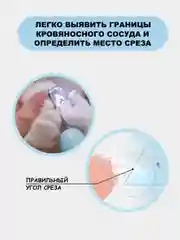 Голубой когтерезка для кошек, собак, грызунов, кроликов с фонариком