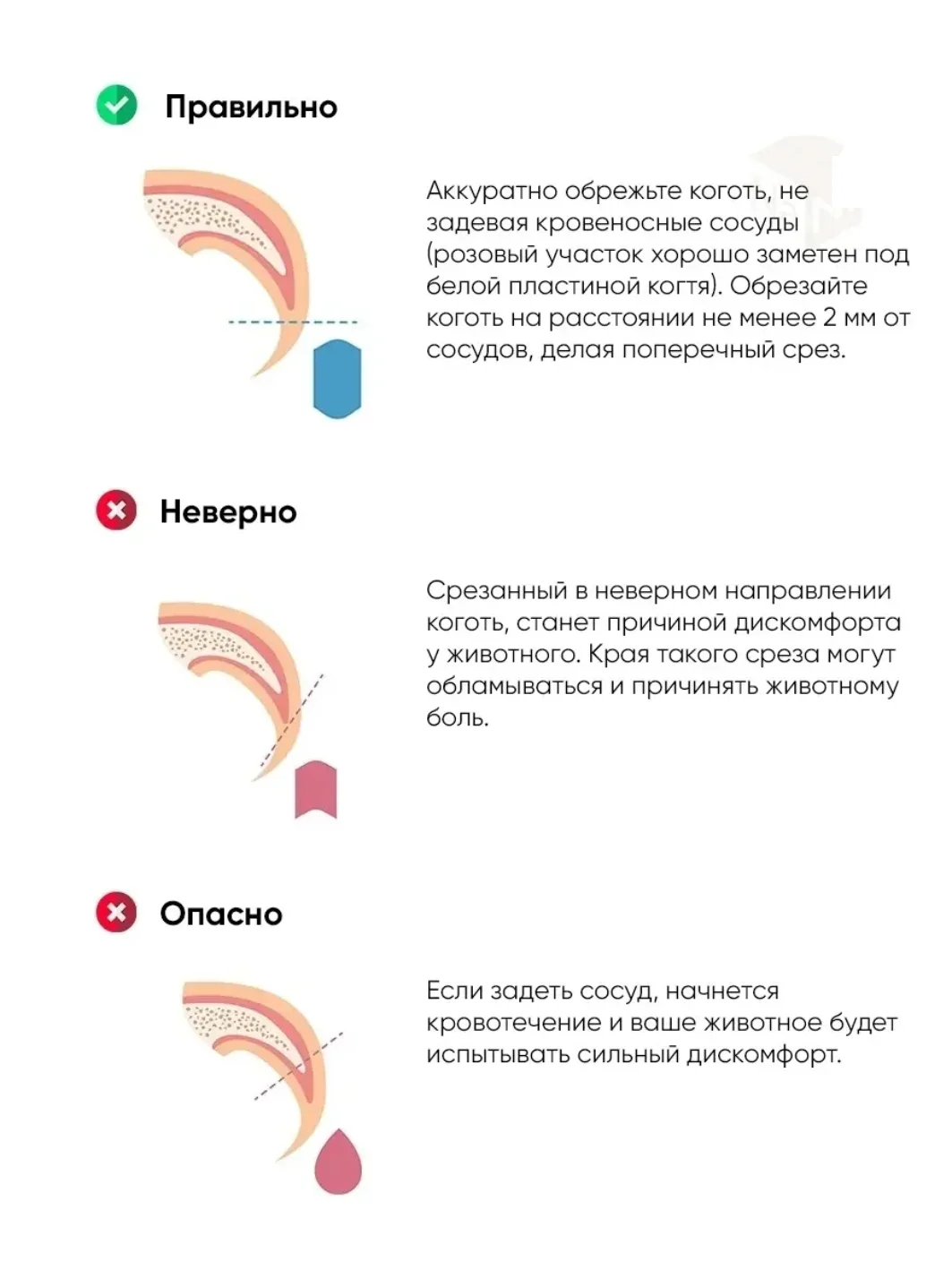 Голубой когтерезка для кошек, собак, грызунов, кроликов с фонариком