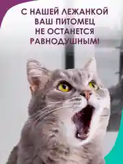 Прозрачный лежанка для кошек и мелких пород собак Bio-line, двухсторонняя, 40 х 50 х 15 см