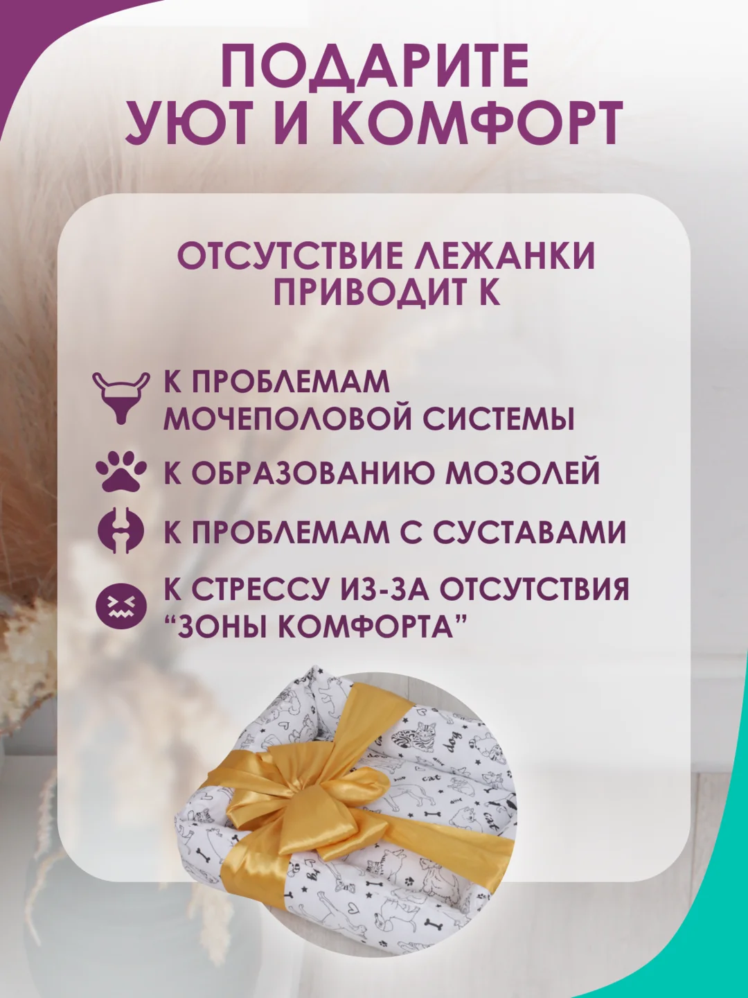 Прозрачный лежанка для кошек и мелких пород собак Bio-line, двухсторонняя, 40 х 50 х 15 см