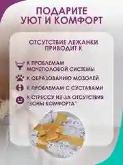 Прозрачный лежанка для кошек и мелких пород собак Bio-line, двухсторонняя, 40 х 50 х 15 см