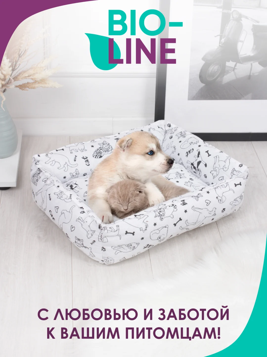Прозрачный лежанка для кошек и мелких пород собак Bio-line, двухсторонняя, 40 х 50 х 15 см