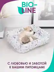 Прозрачный лежанка для кошек и мелких пород собак Bio-line, двухсторонняя, 40 х 50 х 15 см