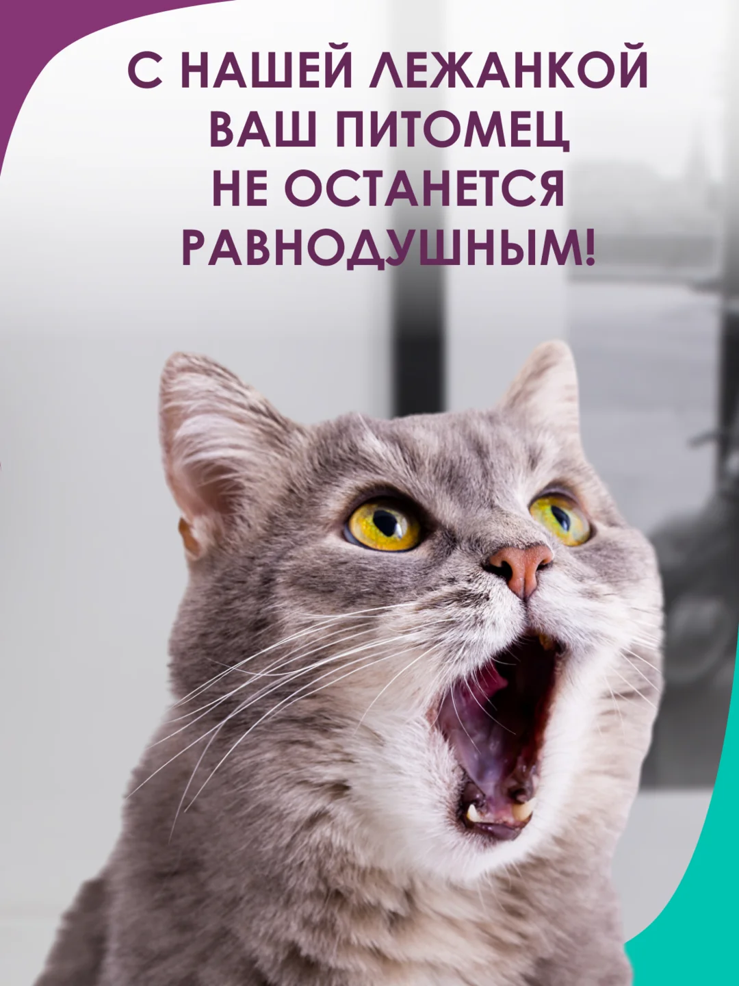 Бежевый меланж лежанка для кошек и мелких пород собак Bio-line, двухсторонняя, 40 х 50 х 15 см