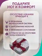 Хром лежанка для кошек и мелких пород собак Bio-line, двухсторонняя, 40 х 50 х 15 см