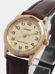 Наручные часы Casio LTP-V001GL-9B