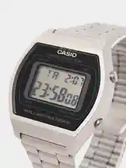 Наручные часы Casio B640WD-1A