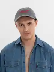 Серый кепка Ирек (Свобода)